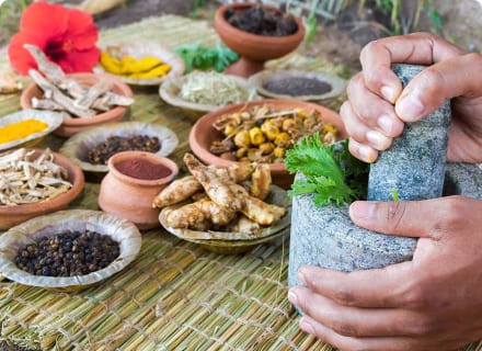 Ayurvedic Medicine